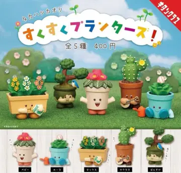 타카하시 카오리 스쿠스쿠 플랜터즈! 전 5종 풀 컴프