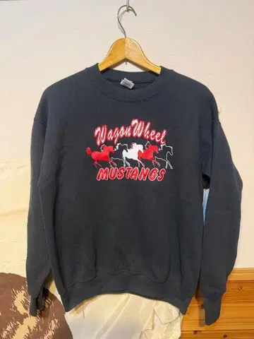 90s FRUIT OF THE LOOM 프룻 오브 더 룸 스웨트 블랙