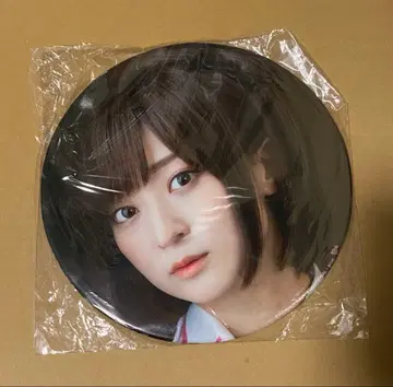 어솔트 릴리 x 사립 루도비코 여학원 호시모리 사나기 BIG 캔뱃지