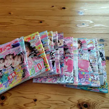 잡지 니코푸치 세트 부록 없음