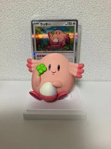 포켓몬 카드 & 피규어 컬렉션 럭키