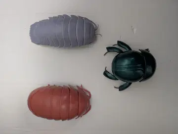 생물대도감 공벌레 대왕등각 만마루쨩