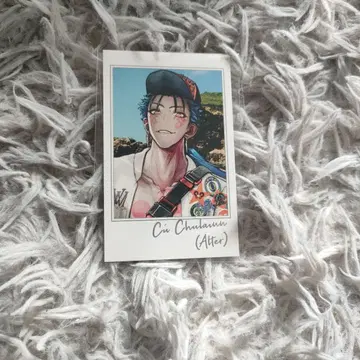 FGO 쿠훌린 알타 포트레이트