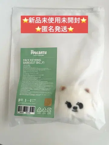 TXT PPULBATU 뿔바투 페이스 키링 범규