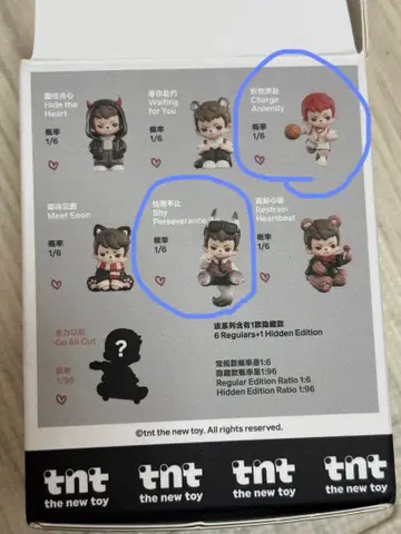 tnt Rayan 키링 홀더