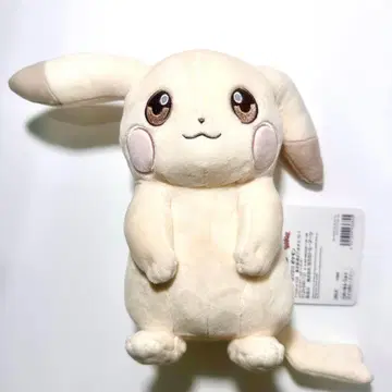 포켓몬 포켓몬 센터 뽀꼬 아 우스이로 피카츄 봉제 인형 p02