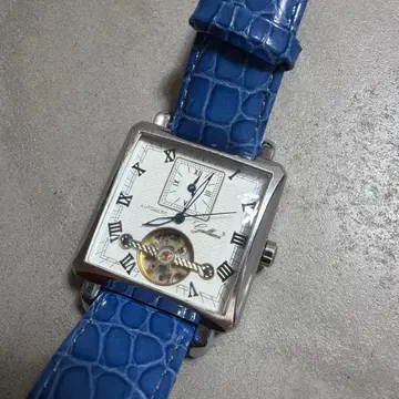 GALLUCCI 가루치 스켈레톤 자동 시계 오토매틱 이탈리아제