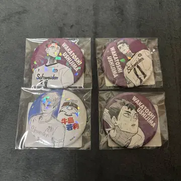 하이큐 우시지마 와카토시 올스타 캔뱃지