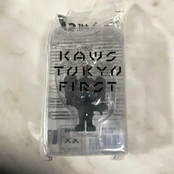 미사용 새상품 KAWS JPP 블랙