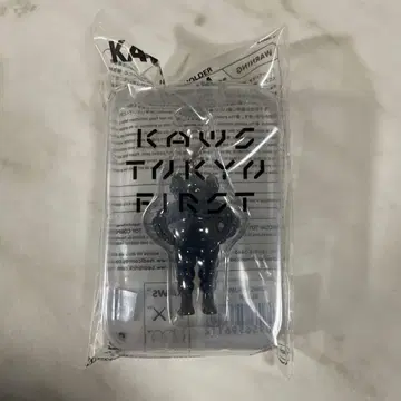 KAWS CHUM BLACK 키링