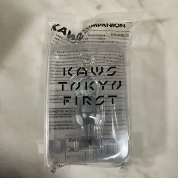 KAWS 컴패니언 그레이 키링