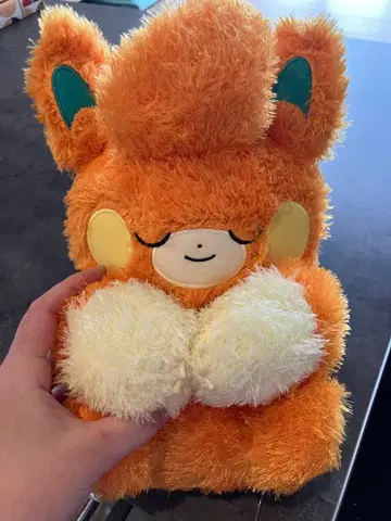 포켓몬스터 모후쿠토 쿠츠로기 타임 봉제 인형 코닥 파모(파모)