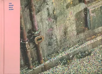 BTS 한국반 YOU NEVER WALK ALONE RIGHT ve