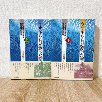 토끼들이 건넌 단혼교 카라유키 일본군 위안부의 궤적 상하 야마다 메이코