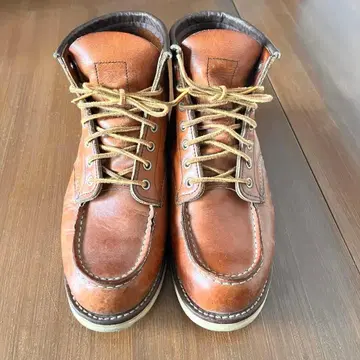 레드윙 875 아이리쉬 세터 25cm USA제