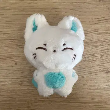 ENHYPEN 봉제 인형 SUNOO 마스터