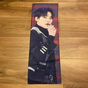 SEVENTEEN 호시 슬로우건 & 부채