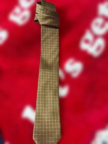 Ermenegildo Zegna 기하학 패턴 넥타이