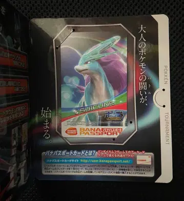 포켓몬 복싱 바나패스포트 로케 테스트 스이쿤 미사용품