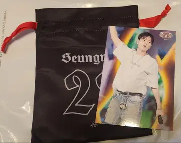 Stray Kids VR 랜덤 복조리 랜더 스승민