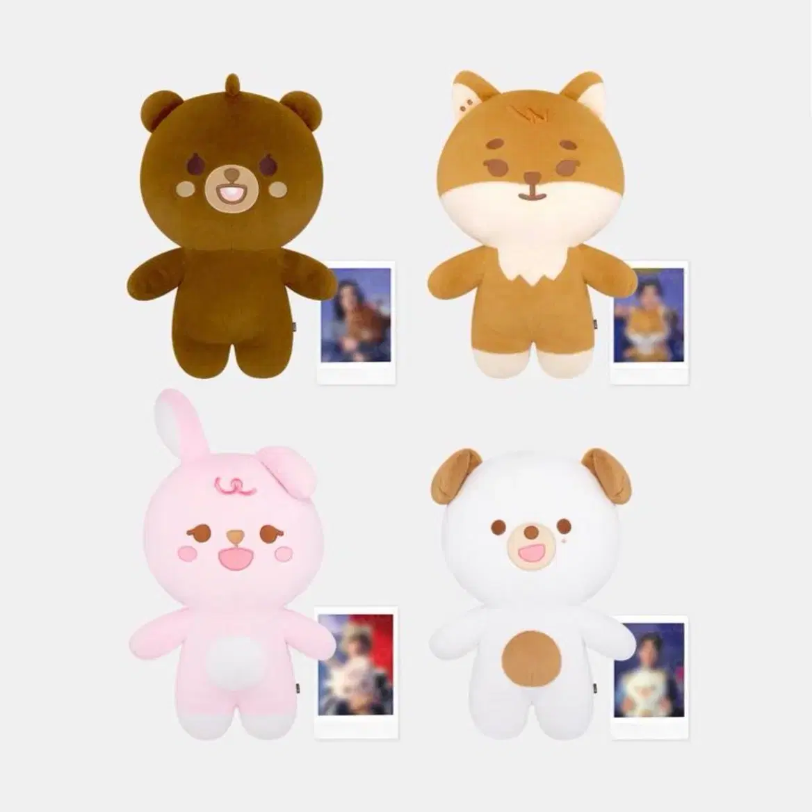 Giant Denimals Don #데이식스,#데니멀즈돈,#도운,#데니멀즈,#자이언트