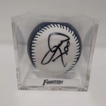 홋카이도 일본햄 파이터즈 카네코 마코토 선수 친필 사인 공 구형 모델