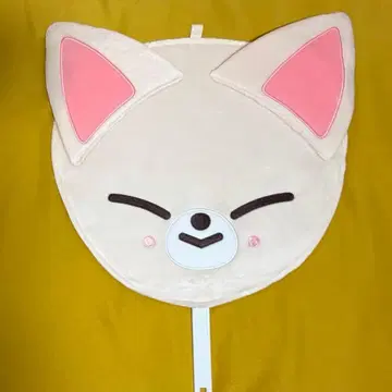 Stray kids 스트레이키즈 아이엔 부채 케이스