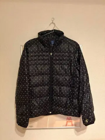 챔피언 도트 다운