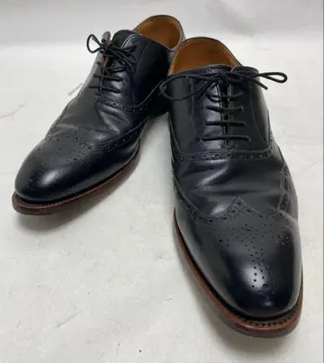 히로카와 스코치그레인 SCOTCH GRAIN 윙팁 남성용 가죽 신발