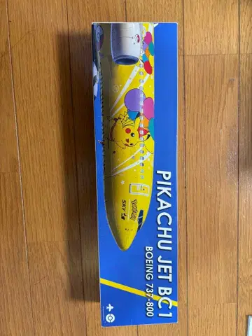 피카츄 제트 BC1 보잉 737-800