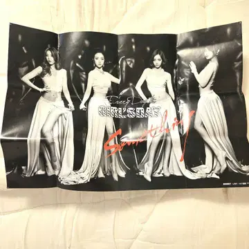 단종품 Girl's Day something 포스터