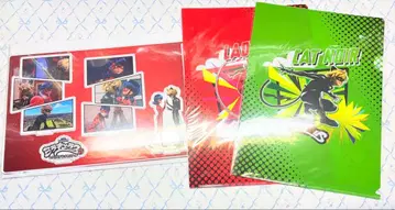 미라큘러스 레이디버그 & 샤 노와르 아크릴 디오라마 플레이트 클리어 파일