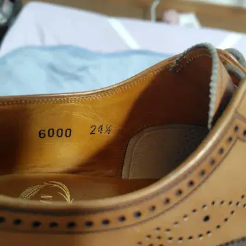 스코치 그레인 세미 브로그 가죽 비즈니스 슈즈 24.5cm