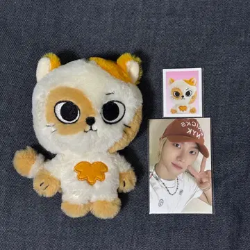 BOYNEXTDOOR 푸넥도 케피 세트