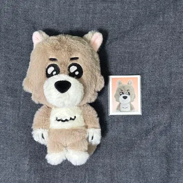 BOYNEXTDOOR 푸넥도 명명 세트