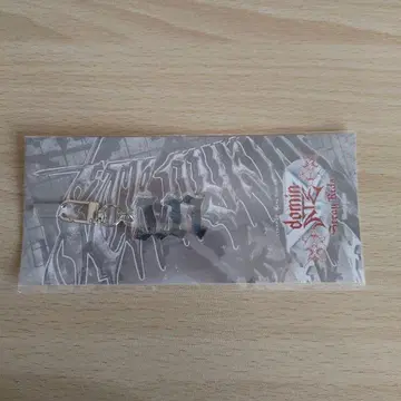 StrayKids 스키즈 VR 회장 한정판 아크릴 네임 키링 아이엔