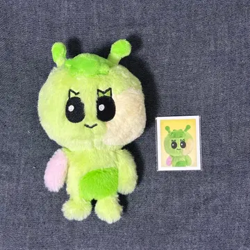 BOYNEXTDOOR 푸넥도 서머 세트