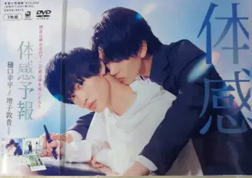 일본 국내 드라마 DVD 체감예보 DVD-BOX