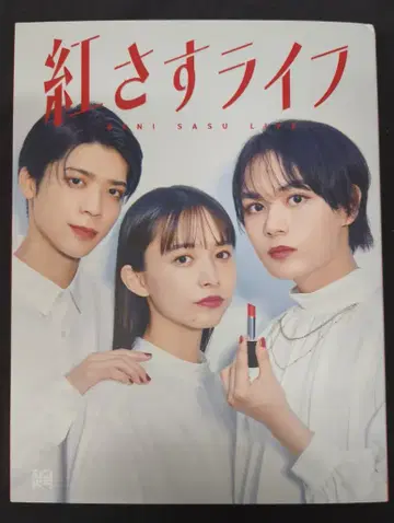 일본 국내 드라마 DVD 홍조를 띤 라이프 DVD BOX