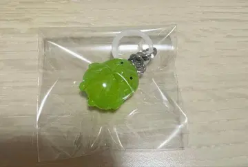 쿠치파치 메지루시 액세서리