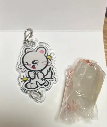 스키즈 현진 지니렛