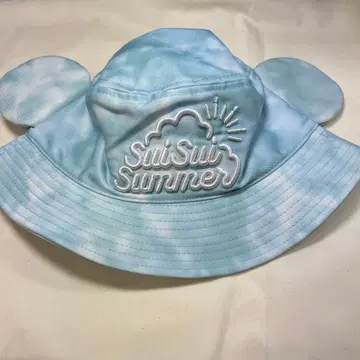디즈니 스위스이썸머 햇