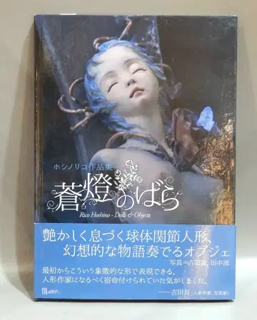 아틀리에 사드 호시노리코 작품집 푸른 등불의 장미