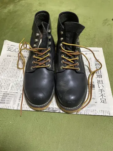 레드윙 부츠 8165 7.5인치