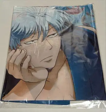 은혼 긴토키 아니쿠지 B상 긴상 폭염의 한때 멀티 크로스