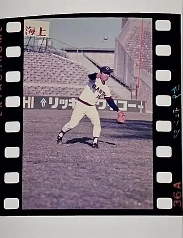 [정품 포지 필름+L 사이즈 브로마이드] 소토키바 요시로 투수(히로시마)