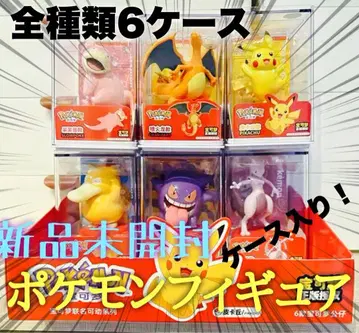 포켓몬 피규어 전 6종류 케이스 포함!