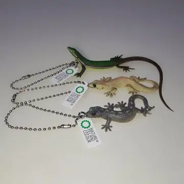 네이처 테크니컬러, 도마뱀과 도마뱀