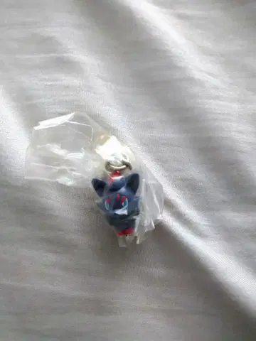 조로아 이어 포켓몬