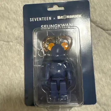 SEVENTEEN x BE@RBRICK SEUNGKWAN 스승
